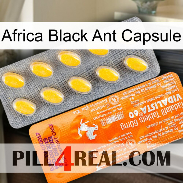 Africa Black Ant Capsule new05.jpg